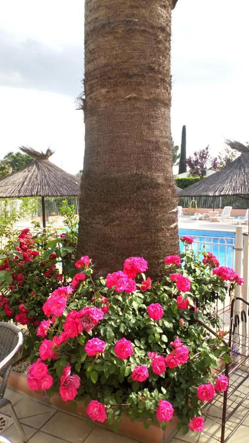Brit Hotel Confort Helios Agde Εξωτερικό φωτογραφία